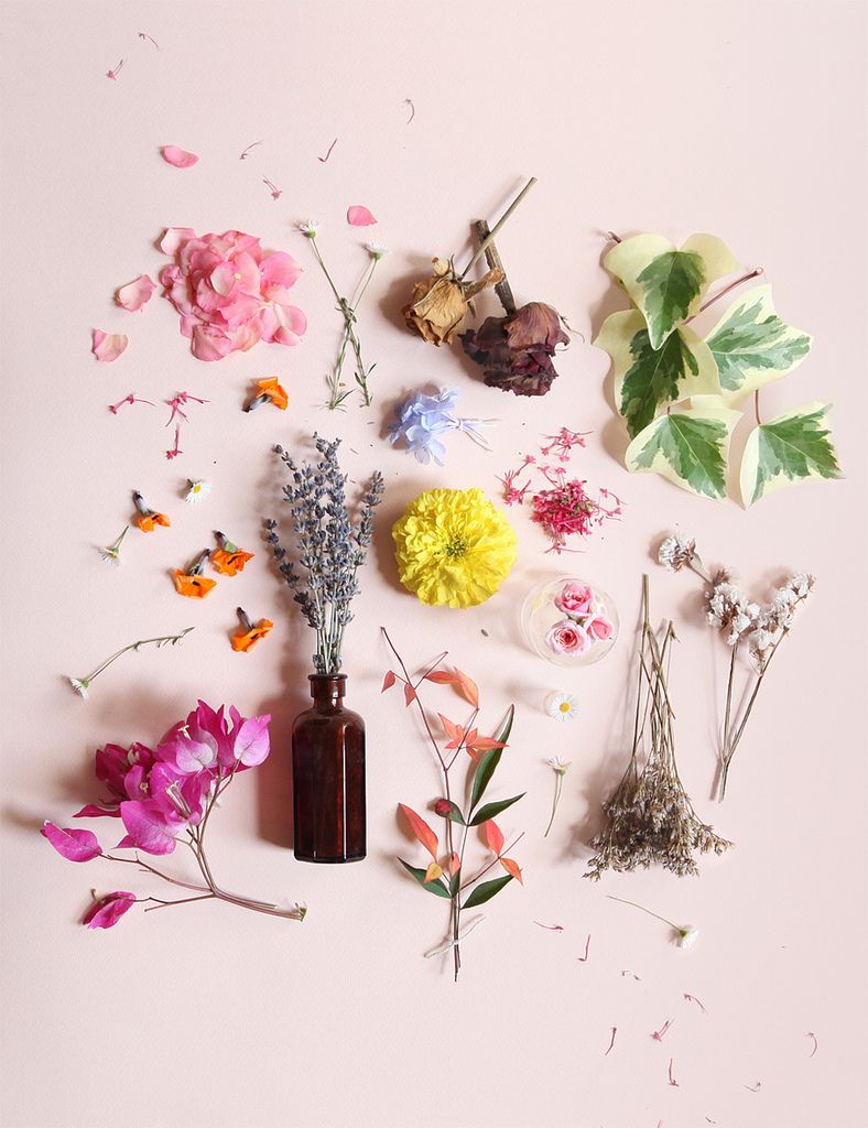 Leitura Floral de Bach - Alinhamento Energético  CURA EMOCIONAL